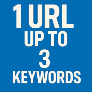 1 URL up to 3 Keyword's